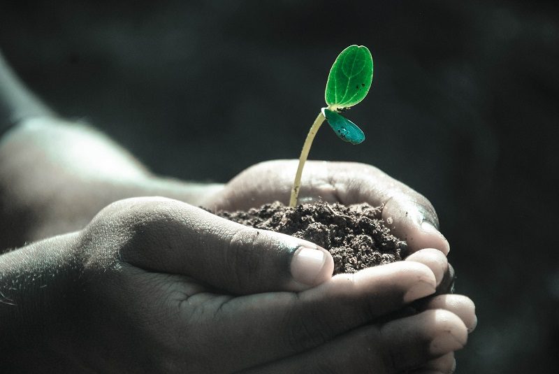 How community involvement boosts your brand